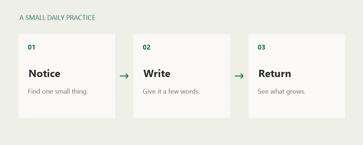 Three steps for a notebook habit: notice, write, and return.